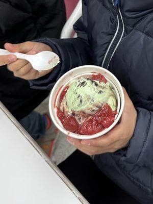 Icecream with strawberries