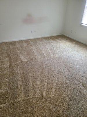 We left the carpet cleaned and the apartment in pretty good shape.