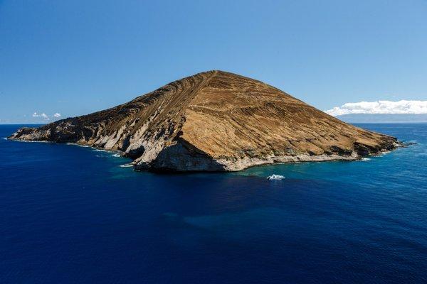 The snorkeling off of Lehua Crater is some of the best in the State!