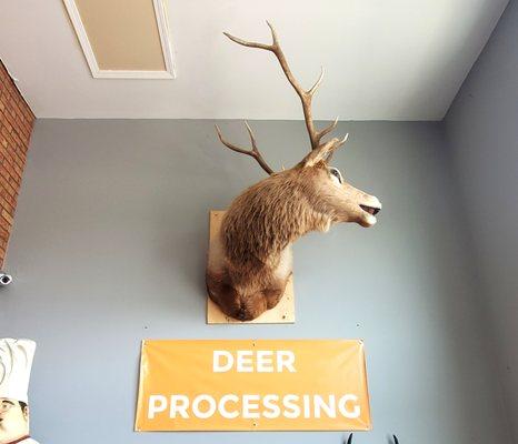 Deer Processing Services