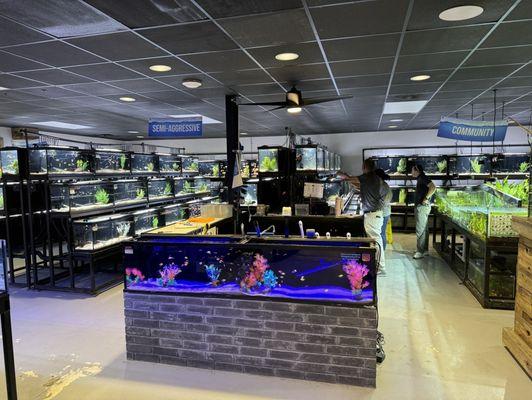 Fish Gallery