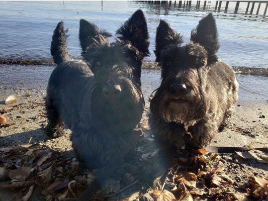 Siblings on the Shore