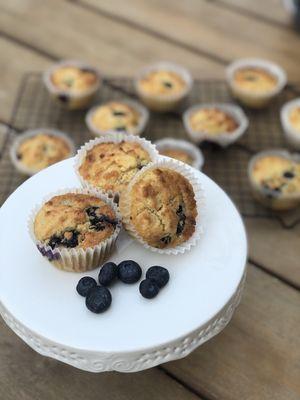 #hellasugarfree Blueberry Muffins. Low carb & Keto Friendly.