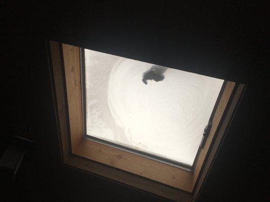 Exterior Skylight Cleaning