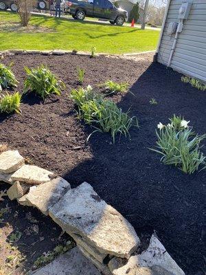 Stone edging, mulch, and plants.