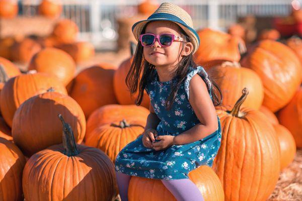 Dripping Springs Pumpkin Festival