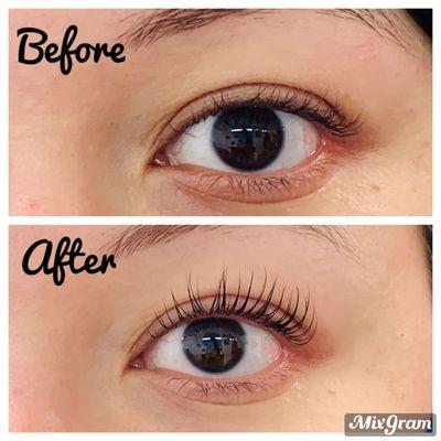 Lash perm/Lash lift