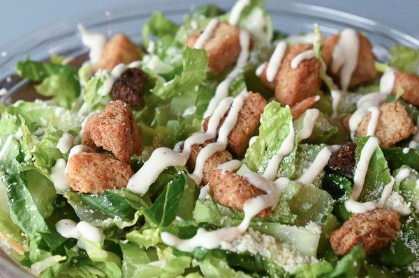 Cesar Salad