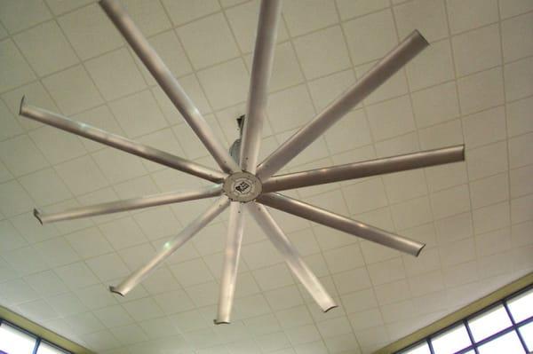 "Big Ass Fan," literally! 10-ft. diam.? In the food court rotunda.