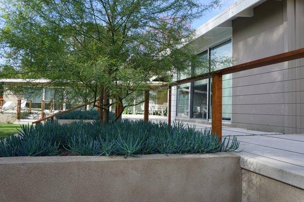 Sand finish concrete patios, raised planters and cantilevered stair cases.  Drought tolerant, modern plantings.