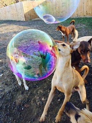 Bubble time