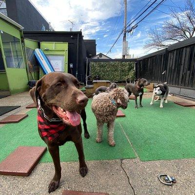 Outdoor space for our daycare! Lots of space and fun!