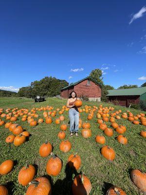 Boehm Farm