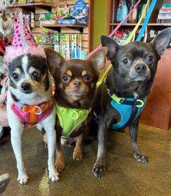 So fresh and so clean for the birthday girl and her brothers