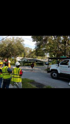 Timberland Tree Service