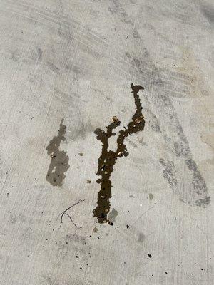 This is the oil that leaked after they serviced my truck.