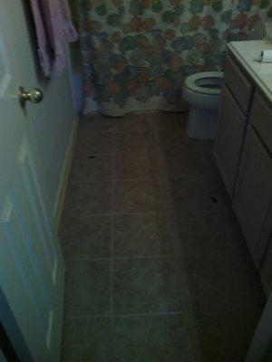 Guest Bathroom. Grout lines were not cleaned up. Grout left on the tiles. Incomplete job. Did not return call.