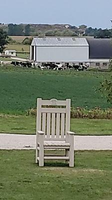 Unfiltered Big Chair and Moos