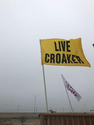 Live Croaker Flag