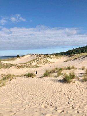 Ludington State Park sand dunes