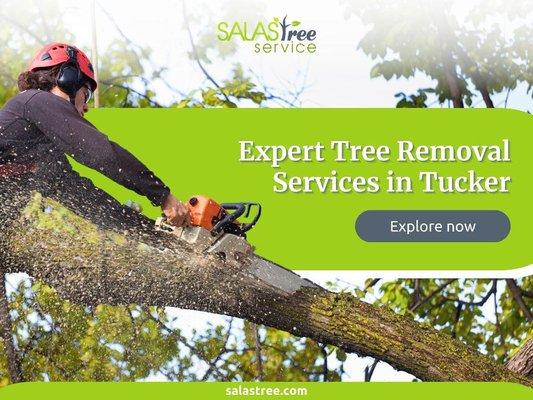 2_Salas Tree Service_Expert Tree Removal Services in Tucker.jpg