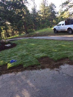 Sod Installation.