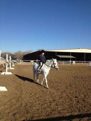 Frost Bite horse show