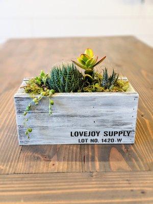 Planter Box Workshops with Clever Bloom