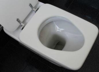 Fixing Clogged Toilets