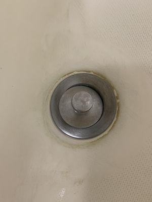 Shower drain.