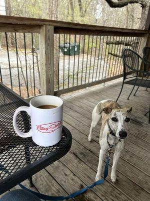 Dog friendly patio was perfect for us! They even brought out water and treats for the dogs.