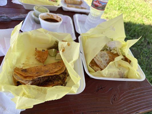 Quesa Tacos and Quesadilla birria.