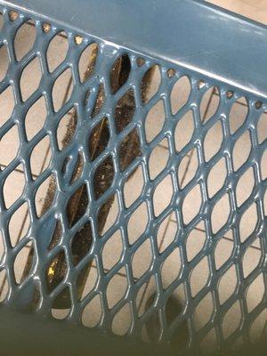 Benches at the laundry with dirt, grime and bugs.