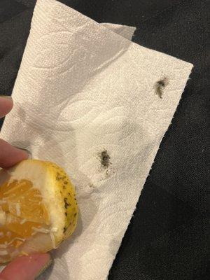 Lemon with black mold? Gross