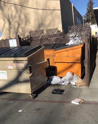 They're dumpster area with garbage always on the floor. The whole neighborhood cats hang out here.