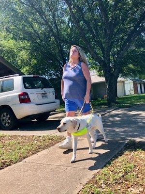 Guide Dog Owner strolling confidently with her dog.