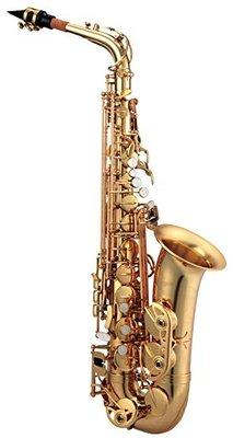 We now carry The Antigua Line of Brass and Woodwind Instruments!