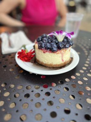 Blueberry cheesecake.