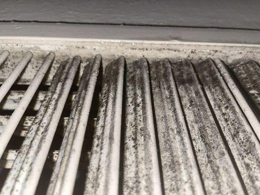 Moldy vent