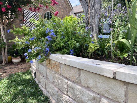 Stone beds with plants