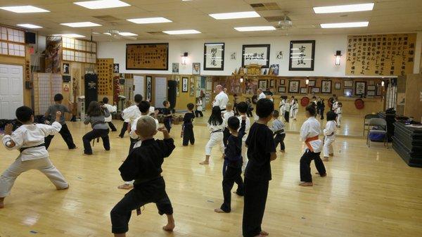 Mark Kapel teaching his students various Katas