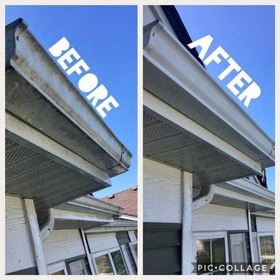 Gutter Brightening in Tampa, FL