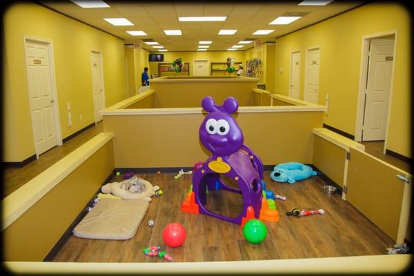 Daycare Indoor Play Areas