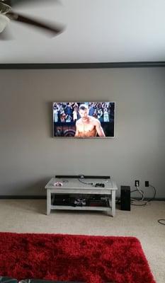 Custom TV Mount