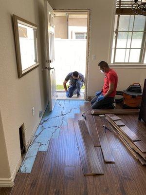 AABC replacing the wood floor boards after treatment was done.