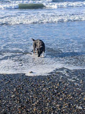 Bullards Beach State Park