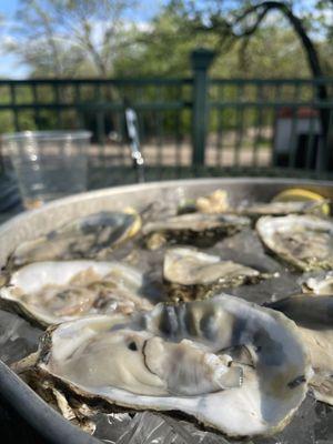 Raw Oysters On Half-shell