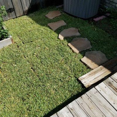 This wasn't a large sod job (1 pallet) but I knew I'd never be able to lay the entire backyard myself.  This is just the walk area.