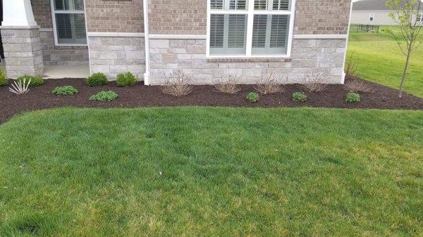 Hired Property Masters to clean up our beds in Spring and place new mulch.