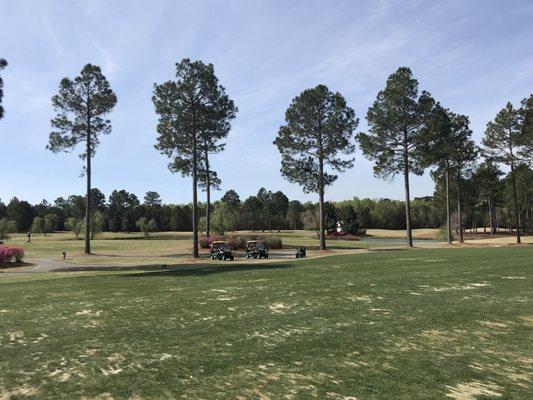 View from driving range